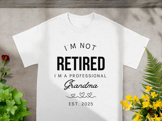 I'm Not Retired I'm a Professional Grandma product type